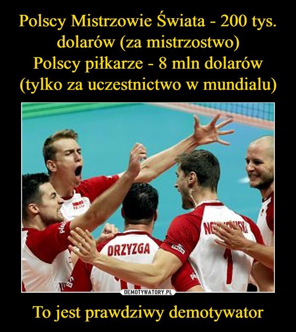 Polska - Brazylia 3:0: Polacy mistrzami świata! [MEMY,...