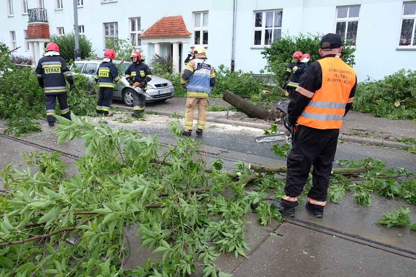 Nawałnica w Poznaniu: Powalone drzewo zablokowało ruch