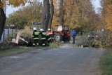 Zerwane dachy i połamane drzewa to efekty czwartkowych wichur w powiecie krotoszyńskim [ZDJĘCIA]