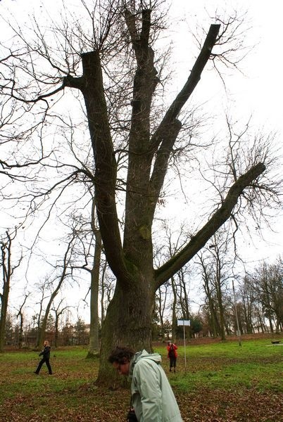 Nad jeziorem Witosławskim