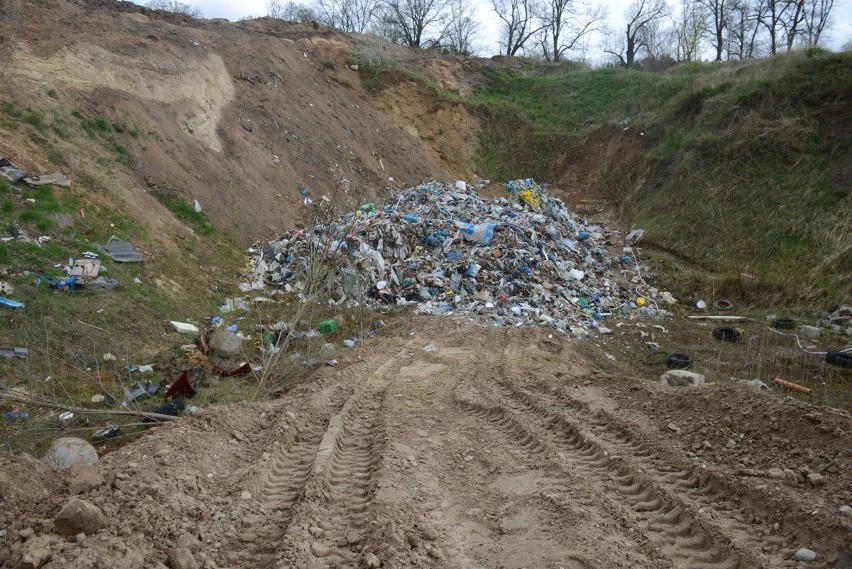 Śmieci w dawnej kopalni żwiru w Górzykowie