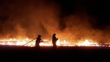 Plaga pożarów traw. Strażacy z podkrakowskich gmin codziennie gaszą hektary traw i nieużytków
