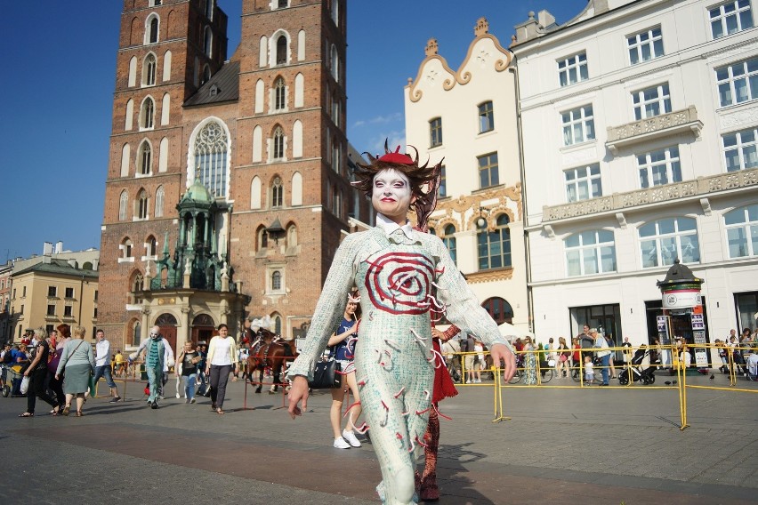 Kraków. Cirque du Soleil zaczarowali przechodniów na Rynku Głównym [ZDJĘCIA, WIDEO]