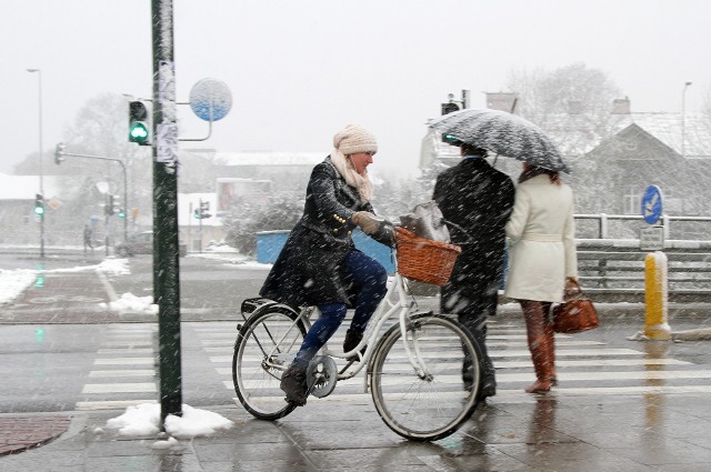 W Częstochowie są coraz lepsze warunki dla rowerzystów. Rower miejski zwiększy atrakcyjność jednośladów