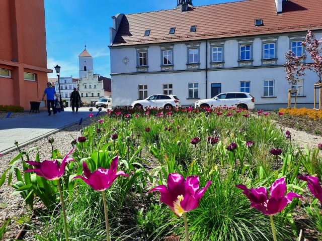 Nawet zieleń planowana jest tutaj "z głową"