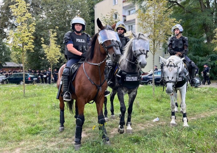 Widzew Cracovia - podsumowanie policji. 5 osób zatrzymanych przez funkcjonariuszy 