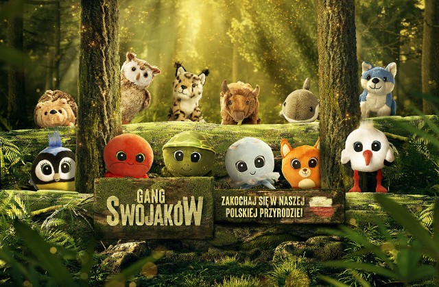 Gang Swojaków to 12 maskotek: Bocian Bolek, Żółw Zenek, Sikorka Sonia, Raczek Romek, Meduza Milena i Wiewiórka Wiola oraz żubr, sóweczka, wilk, morświn, jeż i ryś.