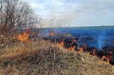 Potężny pożar traw pod Pruszczem Gdańskim! Na miejscu pracują strażacy | WIDEO