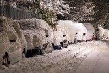 "Bestia ze Wschodu" przyjdzie na Śląsk? Mrozy będą. Jednak meteorolodzy studzą emocje