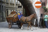 Konna śmieciarka Kom-Eko nie wróci. Już nie zobaczysz koni na deptaku (ZDJĘCIA)