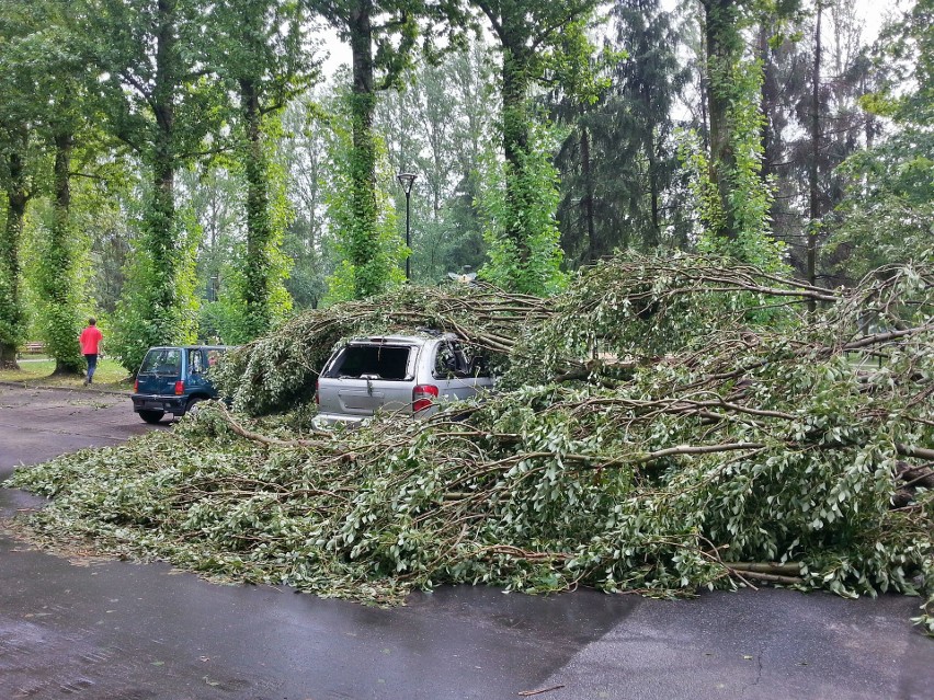 Burza w Łodzi. Nawałnica nad Łodzią. Powalone drzewa, gałęzie na drogach, zalane ulice [ZDJĘCIA]