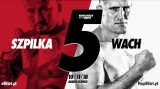 Walka: Szpilka - Wach: Transmisja ONLINE i w TV. Gala boksu dziś na żywo ZA DARMO. KnockOut Boxing Night 5