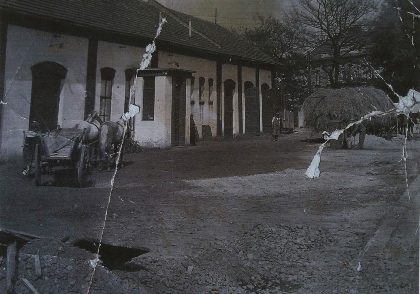 Stajnia dla koni na terenie kopalni w Brzeszczach