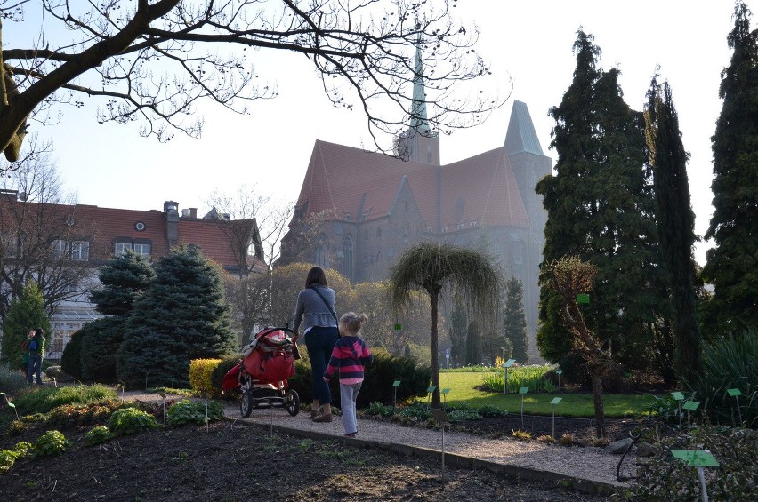 Wrocław: Zamykają ogród botaniczny. Ostatni weekend zwiedzania (CENY, GODZINY OTWARCIA)