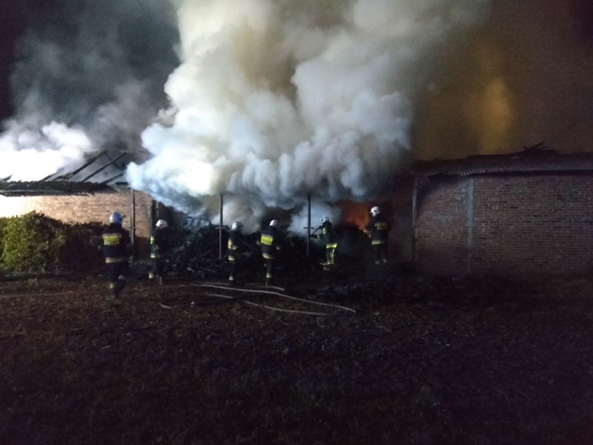 Strażacy walczyli z pożarem budynku gospodarczego w Gorzycach (zdjęcia)