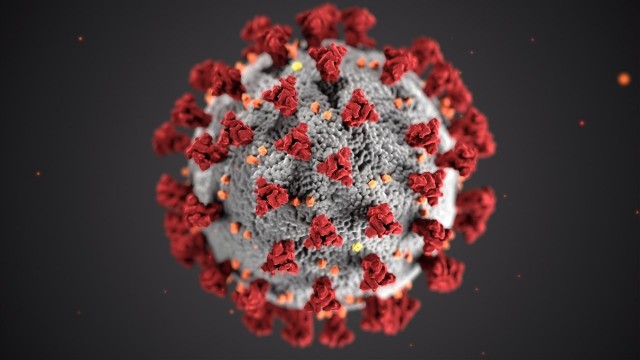 Od początku pandemii w powiecie lipnowskim koronawirusem zaraziło się 71 osób.
