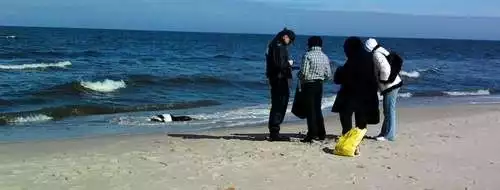 Spacerując po plaży mężczyzna spostrzegł zwłoki dryfujące tuż przy brzegu.