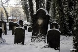 Gliwicki stary cmentarz żydowski przy ul. Na Piasku [ZDJĘCIA]