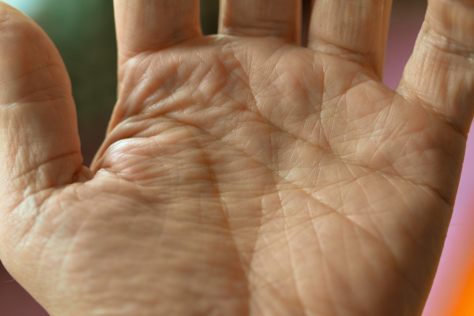 Chiromancja - na czym polega wróżenie z dłoni? Jak wróżyć z ręki oraz jak  wyczytać przyszłość z linii dłoni? | Strona Kobiet