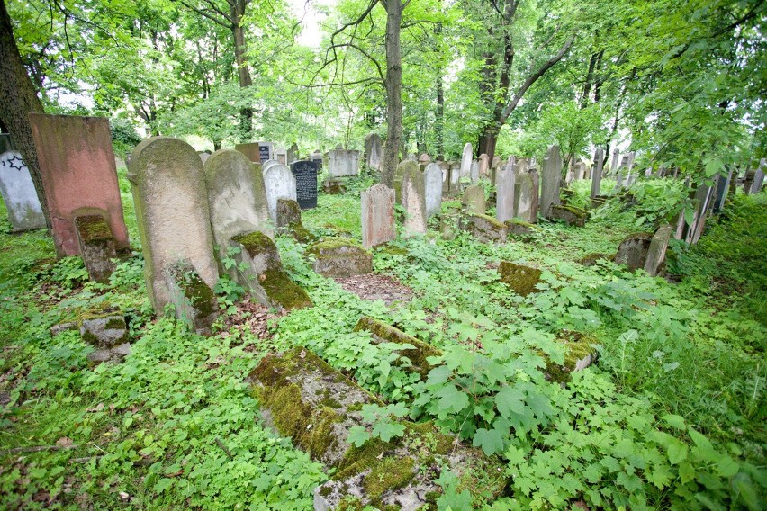 Cmentarz żydowski w Bochni