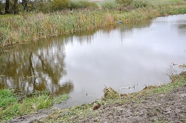 Chojane-Stankowięta. Tragiczny wypadek. Trzy osoby nie żyją