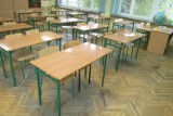 Reforma oświaty w Radomiu. Nowa siatka szkół bez gimnazjum numer 8. Nauczyciele protestują 