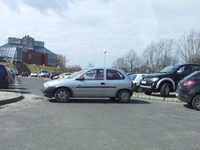 Autodrań zablokował przejazd na parkingu przy Palmiarni