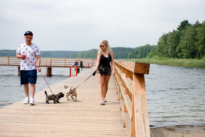 Jeziora wokół Torunia. Gdzie woda jest badana i bez obaw...