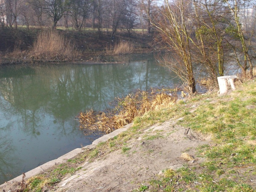 Niskie Łąki - kiedyś istniało tu kąpielisko Oławka. Teraz...