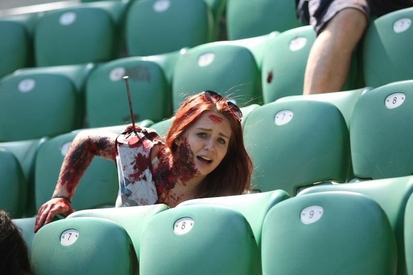 Ćwiczenia antyterrorystyczne na Stadionie Wrocław