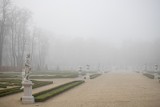 Białystok jak Londyn! Malownicza mgła wiła się nad miastem. Nasz fotograf uchwycił niezwykły moment (ZDJĘCIA)