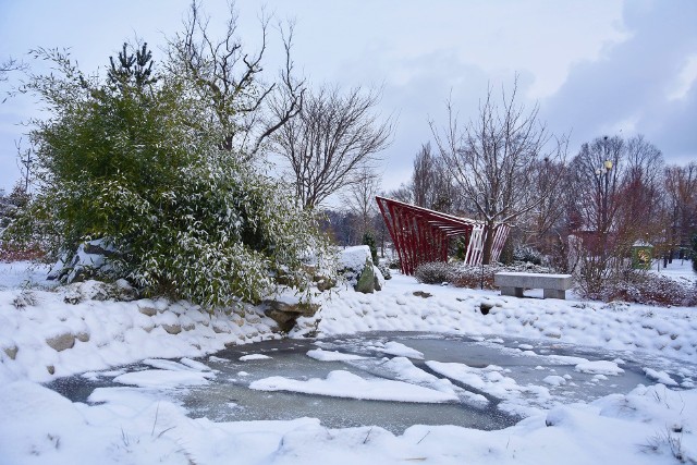 Zima w Rybniku. Park nad Nacyną piękny w białym puchu.Zobacz kolejne zdjęcia. Przesuwaj zdjęcia w prawo - naciśnij strzałkę lub przycisk NASTĘPNE