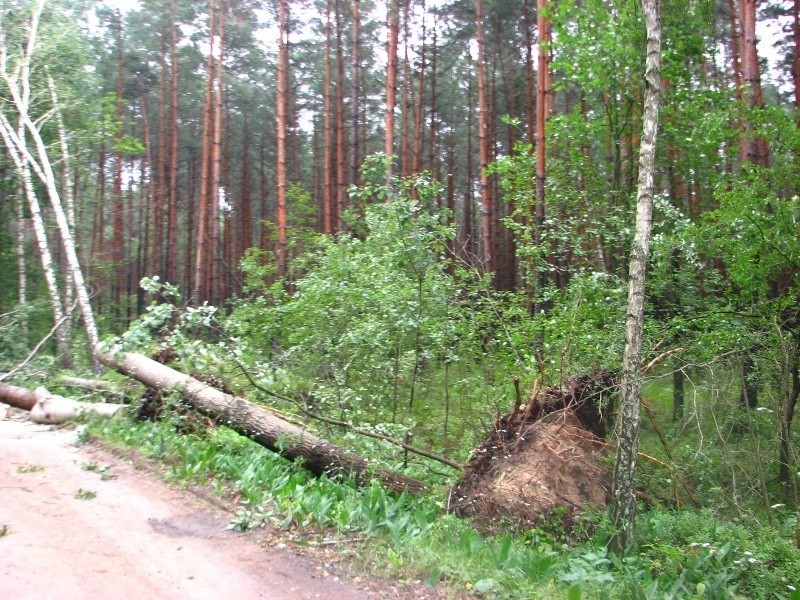 Skutki nawalnicy w Broku - ośrodek kolonijny Caritas