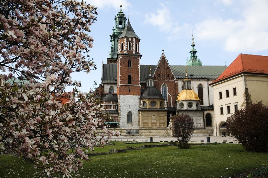 Wawel w czasie epidemii. Wszystko jest na swoim miejscu,...