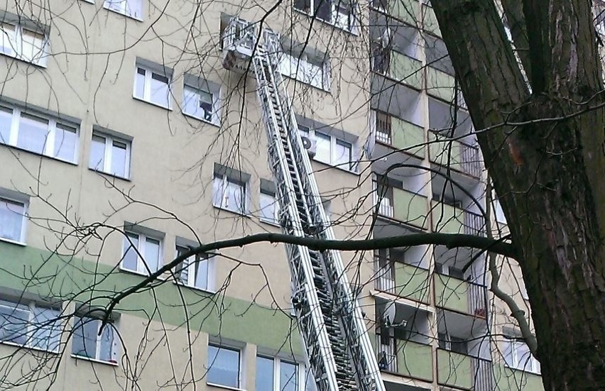 Martwy mężczyzna w mieszkaniu na Dąbrowie