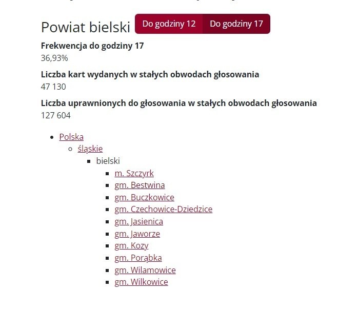 Frekwencja w Śląskiem jedna z najniższych - 36,02 proc. W Katowicach 33,10 proc. Rekordowa frekwencja w Irządzach