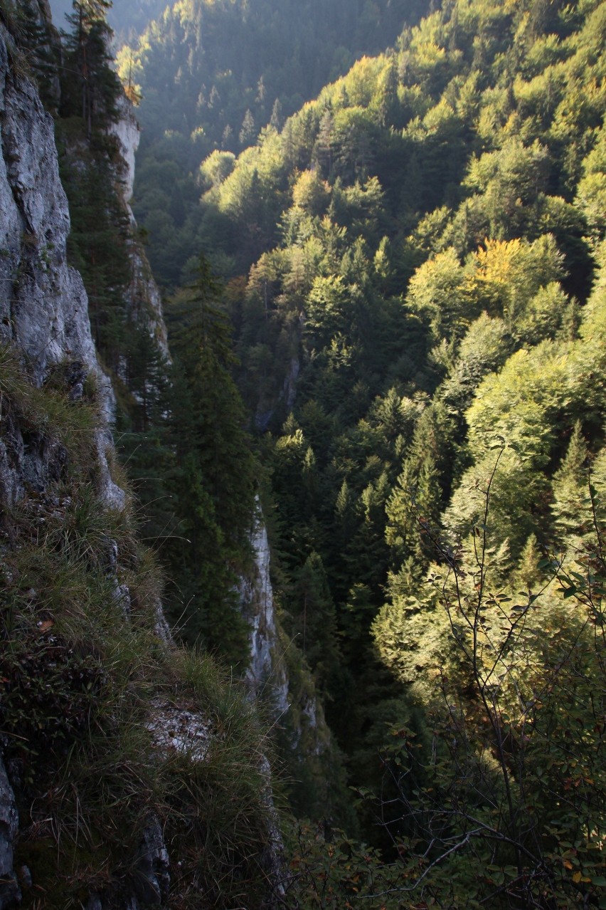 Mała Fatra - Zbójnicki Chodnik. Zobacz kolejne zdjęcia....