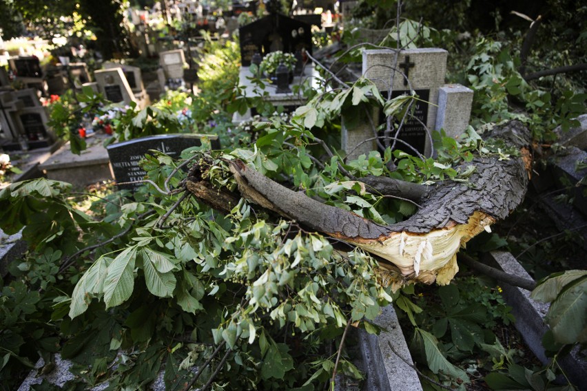 Skutki sobotniej nawałnicy na krakowskich cmentarzach. Służby usuwają powalone drzewa