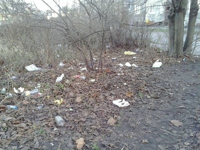 Śmieci porozrzucane na zarośniętym terenie przy skrzyżowaniu ulic Wita Stwosza i Kasprowicza kłują w oczy przechodniów.  