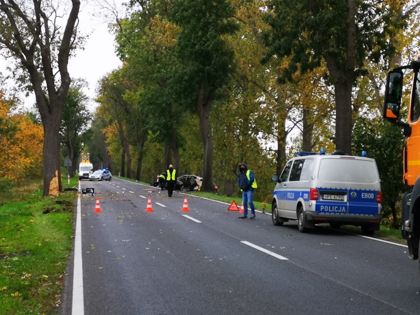 Do wypadku doszło na drodze pomiędzy Kostrzynem nad Odrą, a...