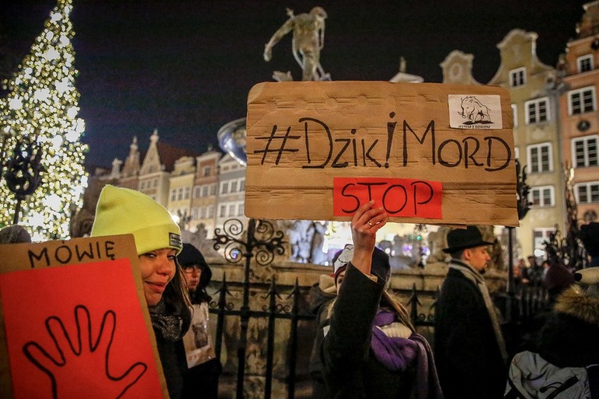 Gdański protest przeciwko masowemu odstrzałowi dzików,...