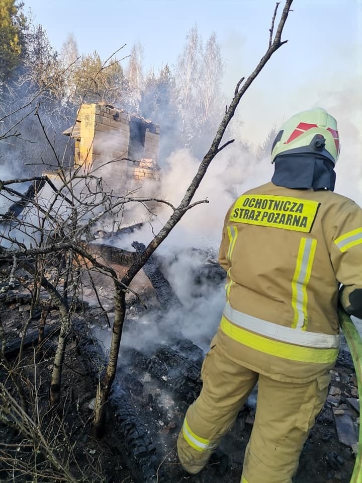 Duży pożar w gminie Michałowo. Spłonęła część lasu i 13...
