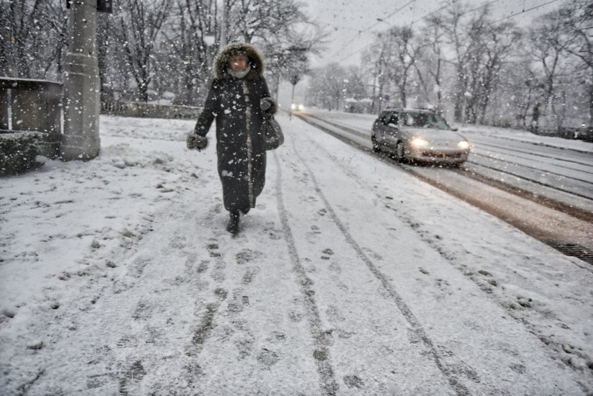 Śnieżyca w Poznaniu. Zasypało całe miasto