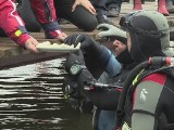 Płetwonurkowie z Poznania podzielili się jajkiem pod wodą [wideo]