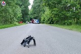 Tragiczny wypadek w powiecie ryckim. 24-letni motocyklista zginął na miejscu