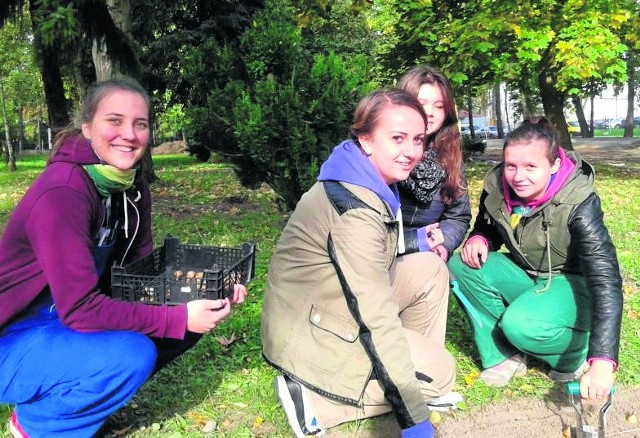 Cebulki żonkili posadzili w ubiegłym tygodniu uczniowie Zespołu Szkół Agrotechnicznych w Radomiu.