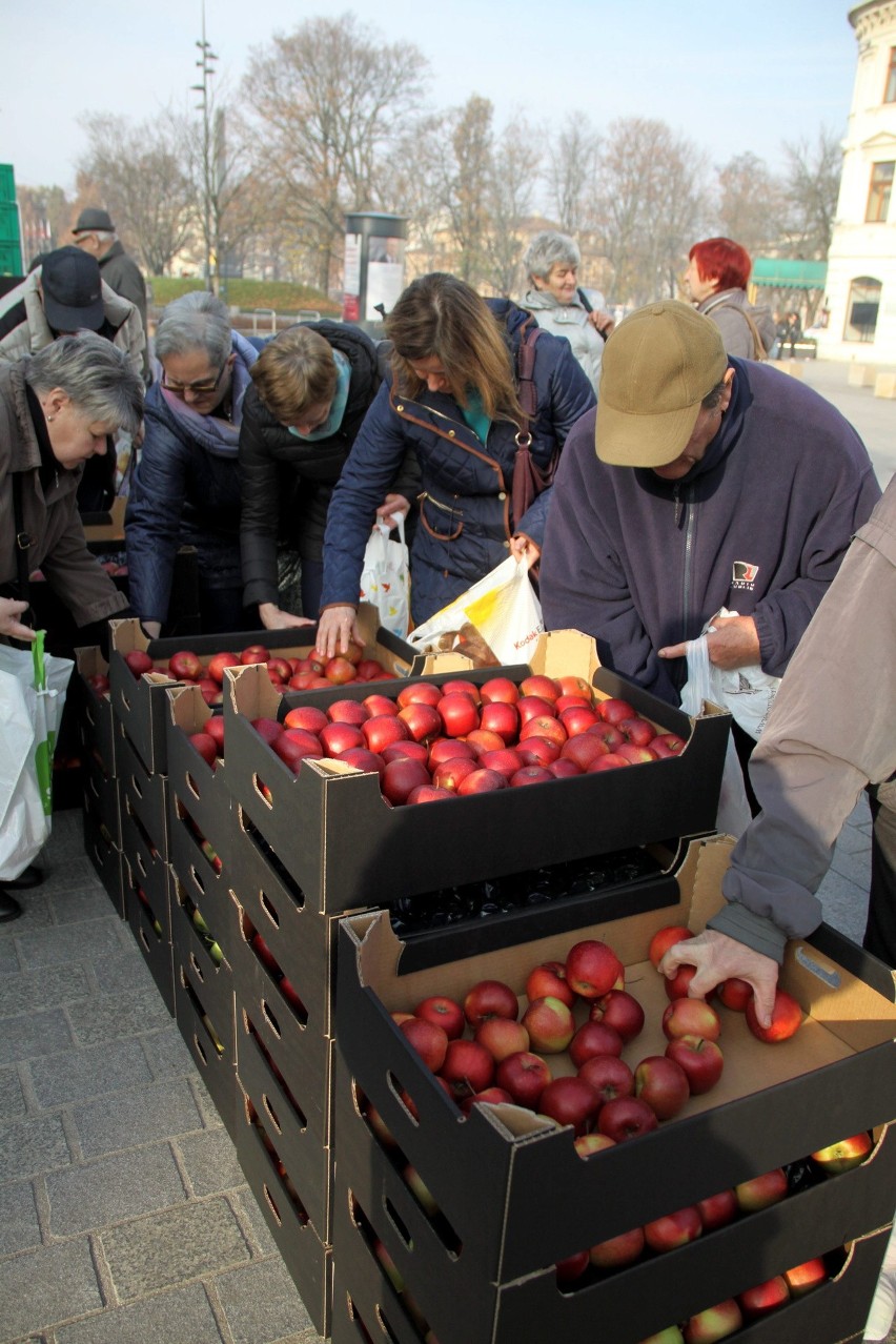 Wielu chętnych na darmowe jabłka w Lublinie. Owoce rozeszły się w ekspresowym tempie