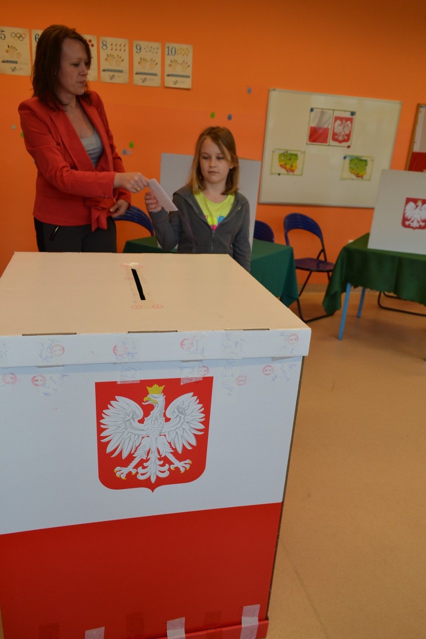 Wybory prezydenckie 2015: II tura wyborów prezydenckich w Rybniku bez zakłóceń [ZDJĘCIA]