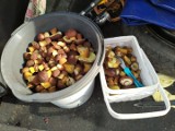 Udane grzybobranie w okolicy Nowej Soli. Mieszkańcy mają szczęście do grzybów. Zobaczcie, ile nazbierali do koszyków