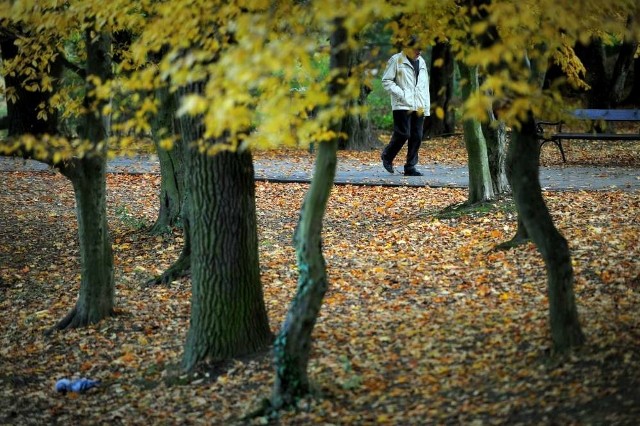 Piękna polska jesień w poznańskich parkach
